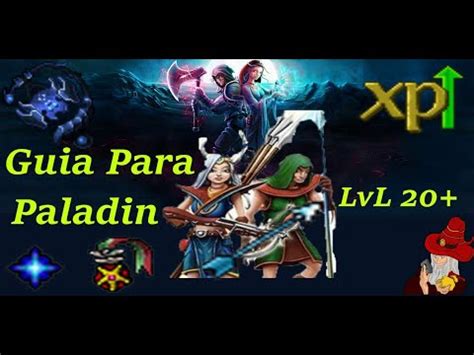 paladino lv 20|Paladin .